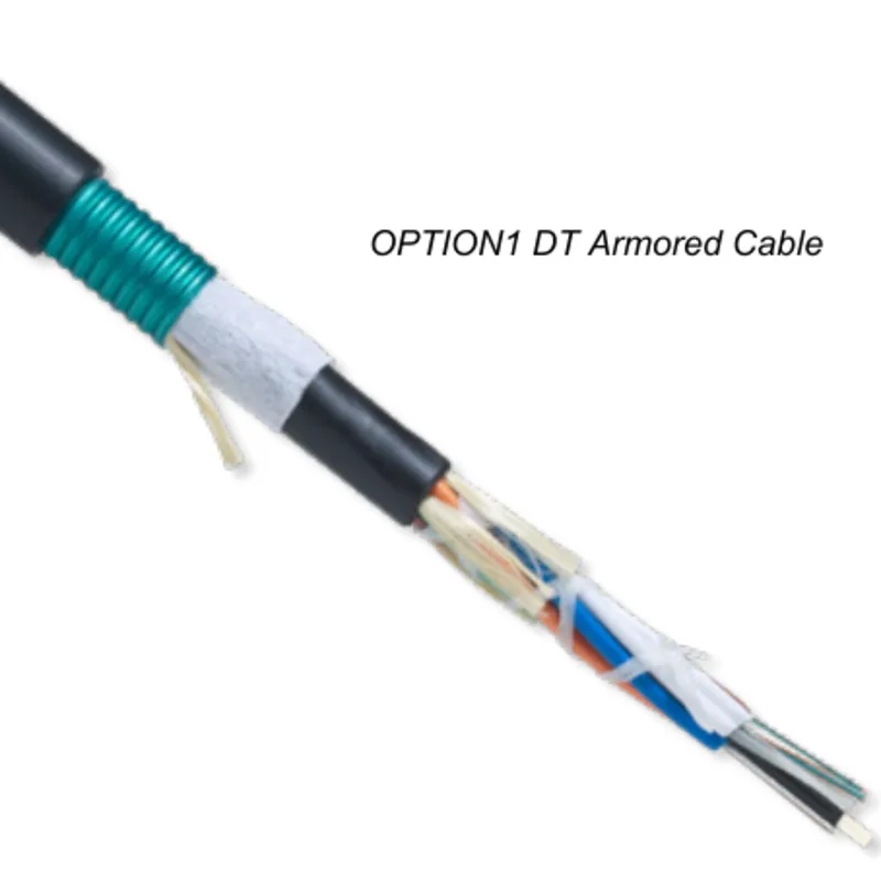 OPTION1™ DT Armored Outdoor/Indoor Cable